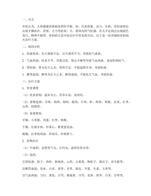 补阳助火的治疗方案