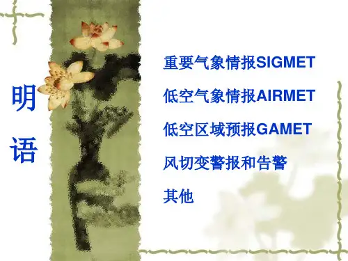 航空气象学：11.3 明语