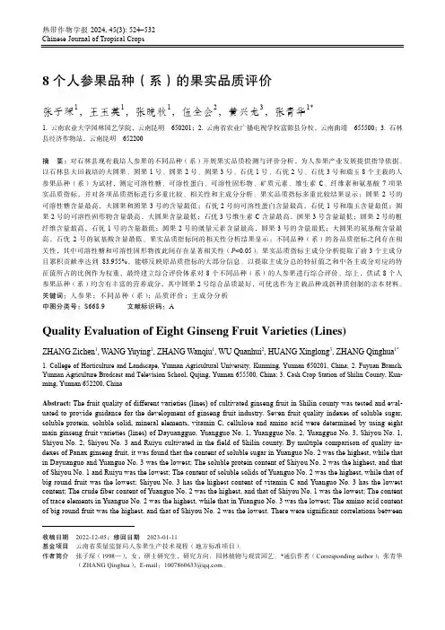 8_个人参果品种（系）的果实品质评价