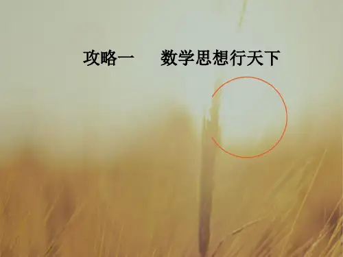 最新-2021高考新课标数学文二轮专题复习课件：攻略一第2讲分类讨论思想、转化与化归思想 精品