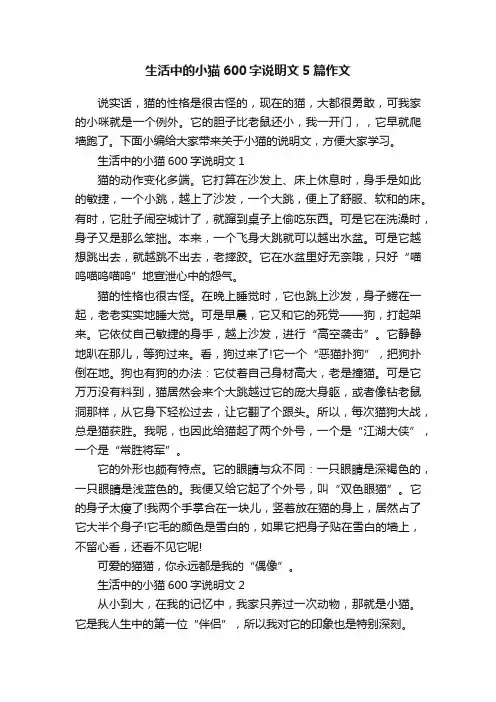 生活中的小猫600字说明文5篇作文