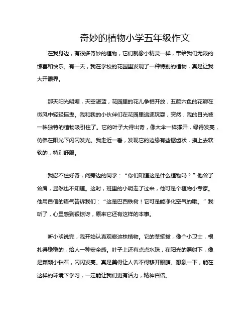 奇妙的植物小学五年级作文