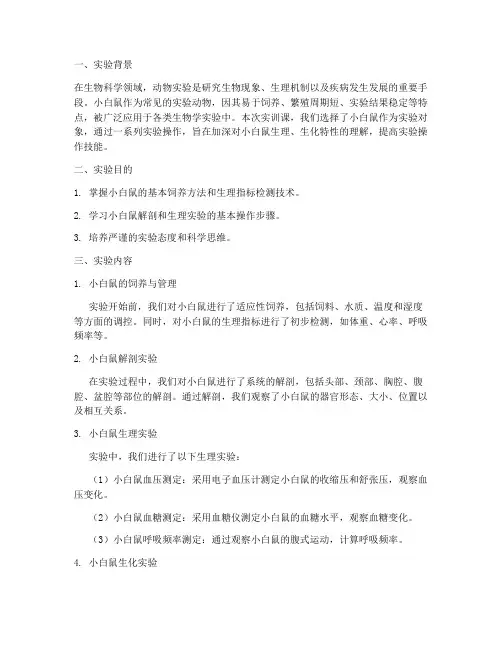 实训课小白鼠实验报告总结