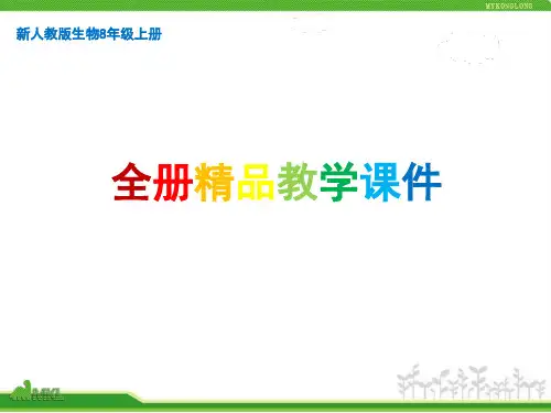 新人教版生物8年级上册精品教学PPT课件
