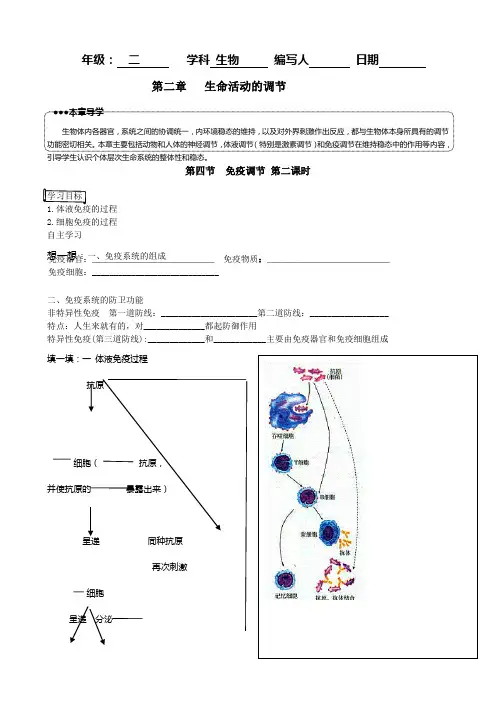 免疫调节 第二课时学案