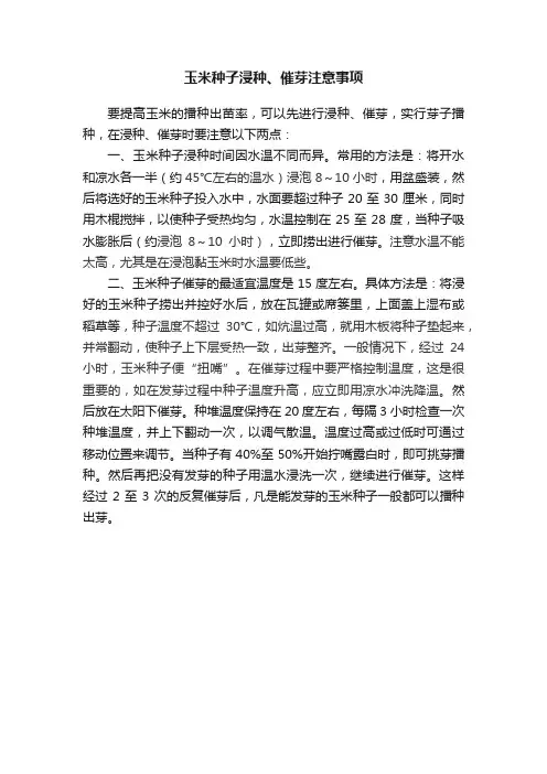 玉米种子浸种、催芽注意事项