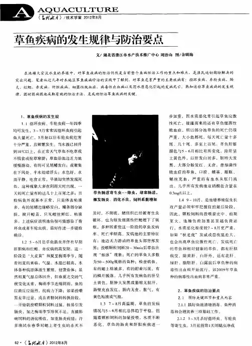 草鱼疾病的发生规律与防治要点