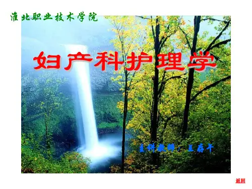 妇产科护理学488339 PPT课件