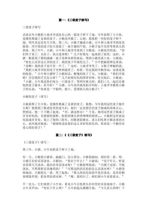 三袋麦子作文300字