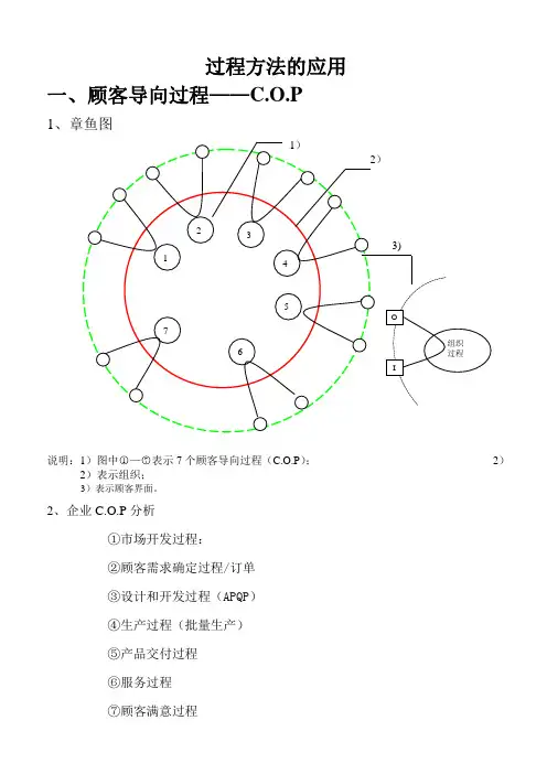 TS16949-过程图1