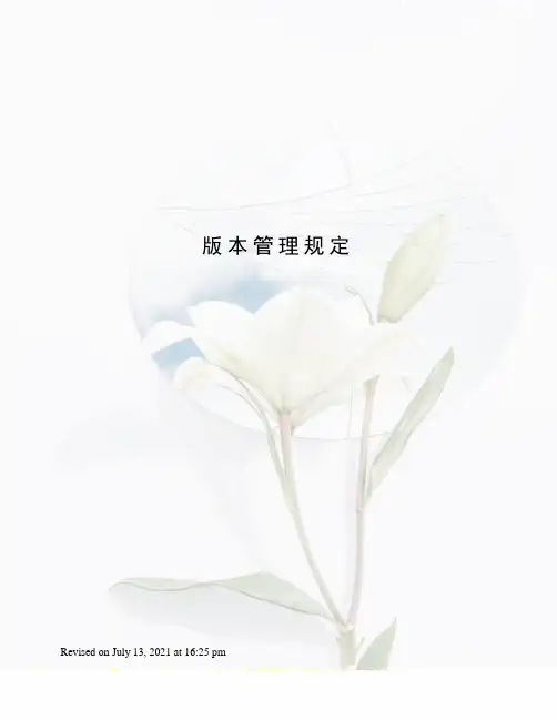 版本管理规定