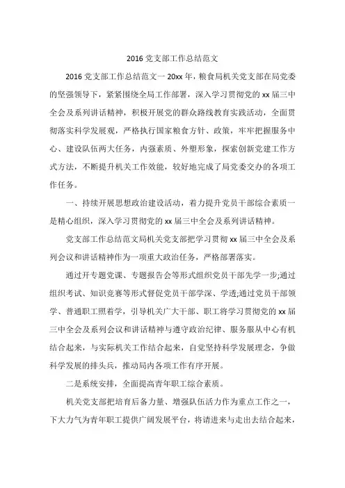2016党支部工作总结范文