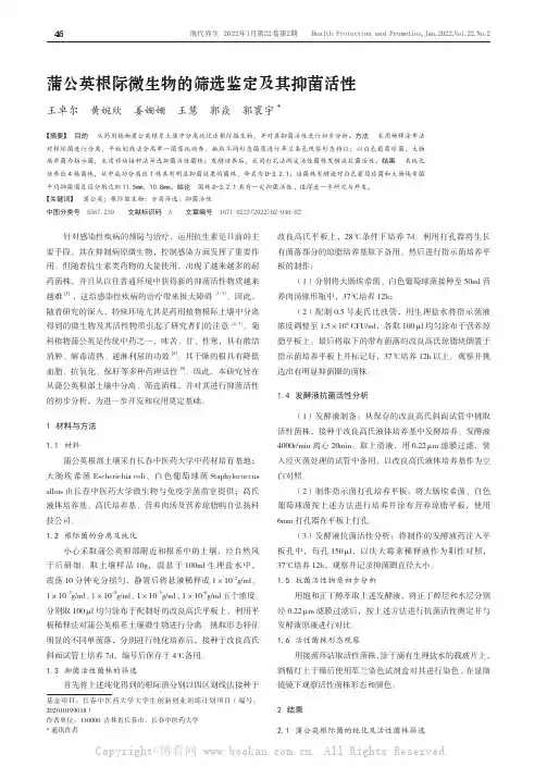 蒲公英根际微生物的筛选鉴定及其抑菌活性