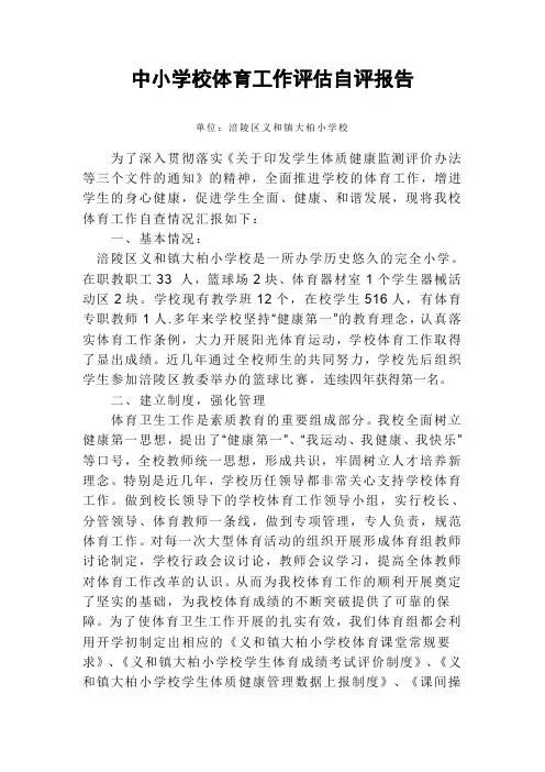 体育专项评估报告