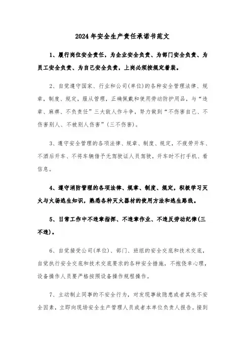 2024年安全生产责任承诺书范文(5篇)