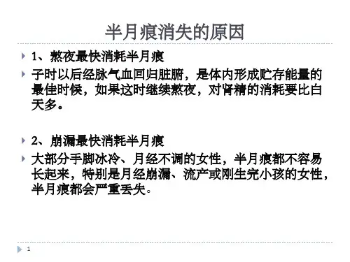 中医手诊_精品文档