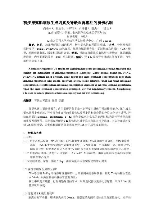 1 初步探究影响尿生成因素及肾缺血再灌注的损伤机制