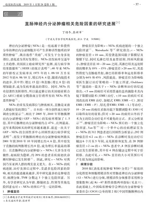 直肠神经内分泌肿瘤相关危险因素的研究进展