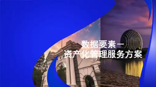 2023数据要素资产化服务方案29页[PPT]
