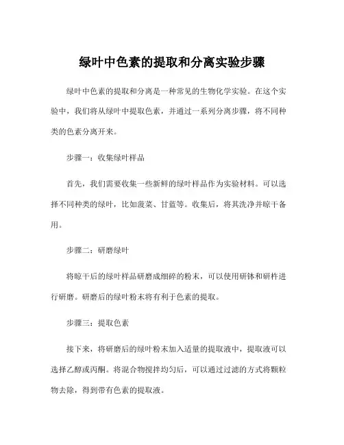 绿叶中色素的提取和分离实验步骤