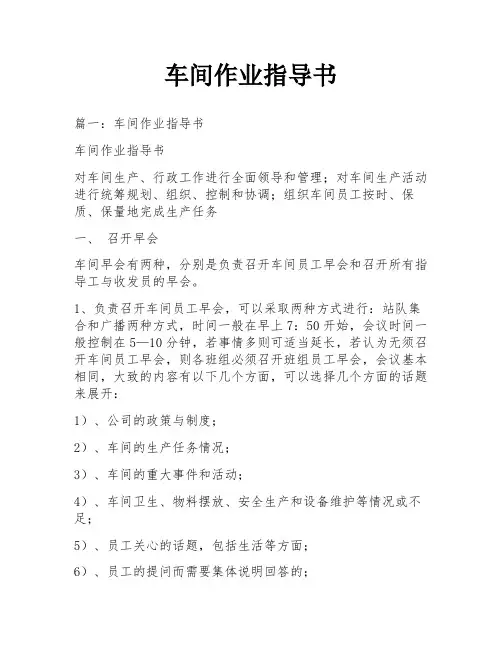 车间作业指导书