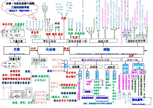 生物必修一物质基础与细胞思维导图