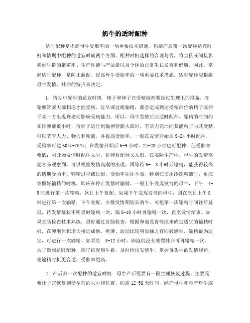 奶牛的适时配种