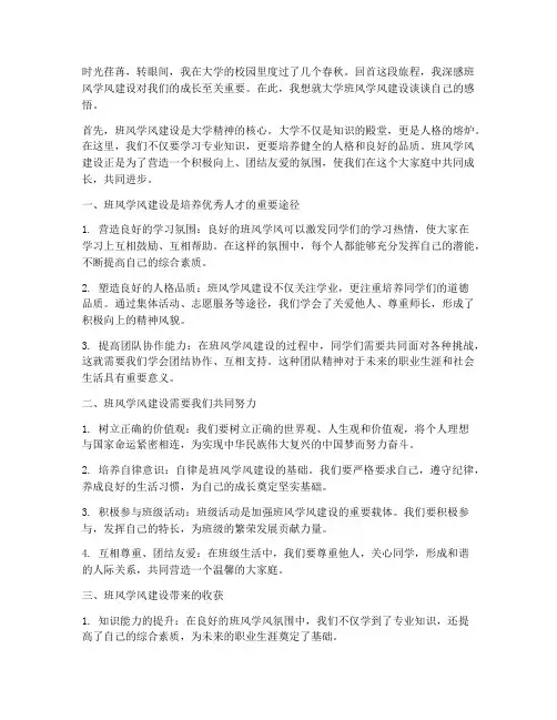 大学班风学风建设感言
