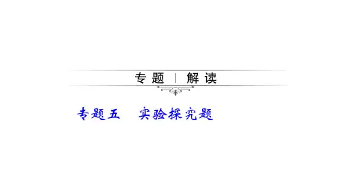 初中化学中考总复习PPT——实验探究题