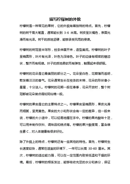 描写柠檬树的外貌