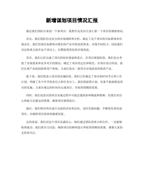 新增谋划项目情况汇报