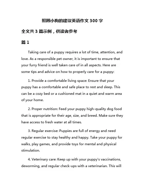 照顾小狗的建议英语作文300字