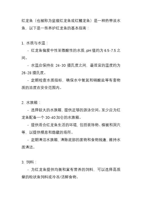 红龙鱼怎么养