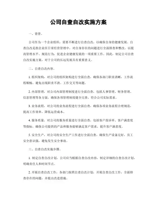 公司自查自改实施方案