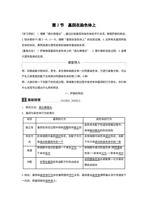 基因在染色体上