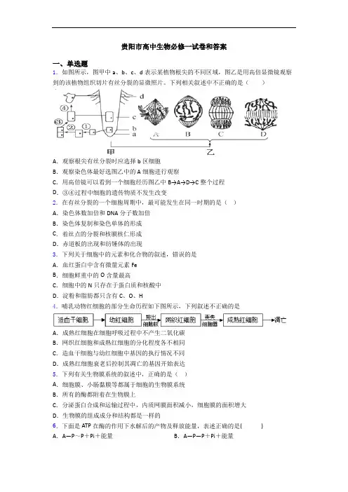 贵阳市高中生物必修一试卷和答案