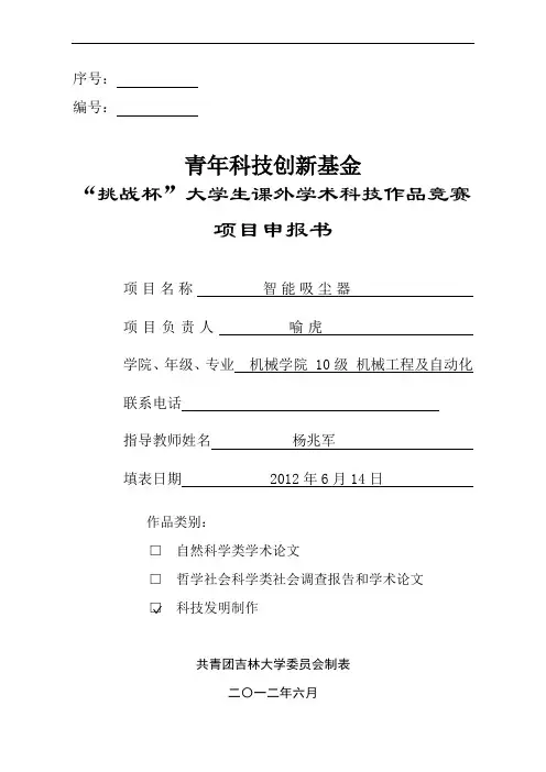 01青年科技创新基金项目申报书申报书