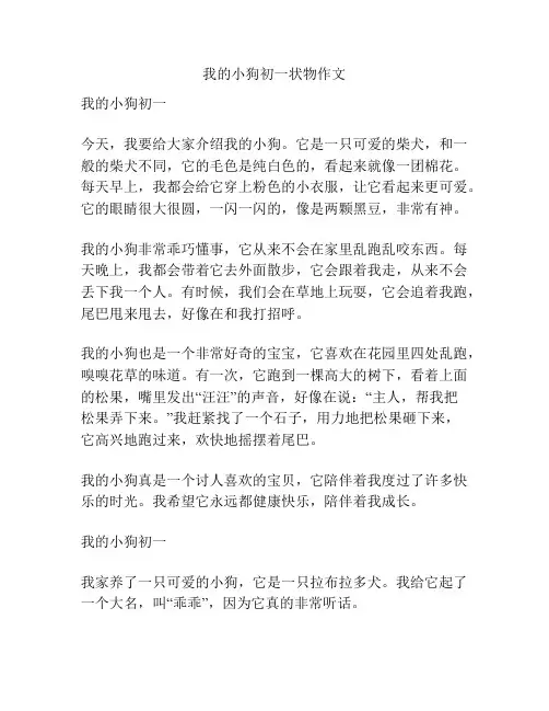 我的小狗初一状物作文