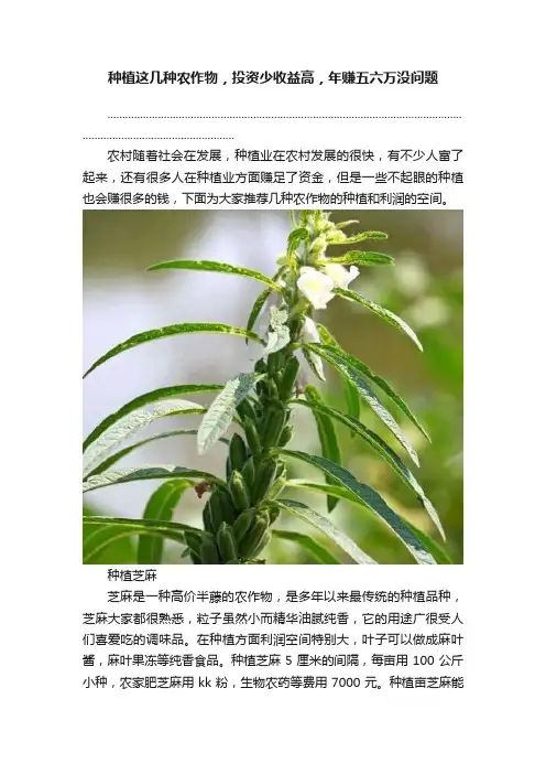种植这几种农作物，投资少收益高，年赚五六万没问题