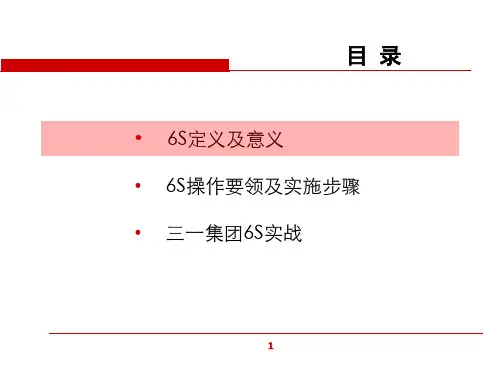 精选6s标准培训课件PPT71页