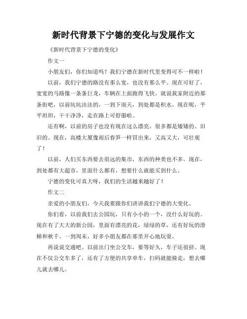 新时代背景下宁德的变化与发展作文