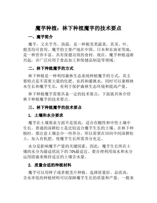 魔芋种植：林下种植魔芋的技术要点