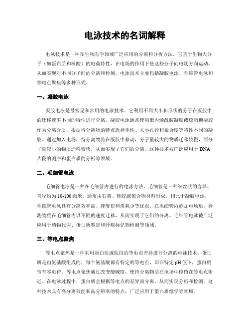电泳技术的名词解释