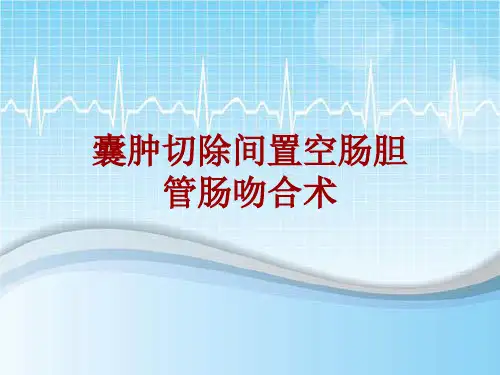 手术讲解模板：囊肿切除间置空肠胆管肠吻合术
