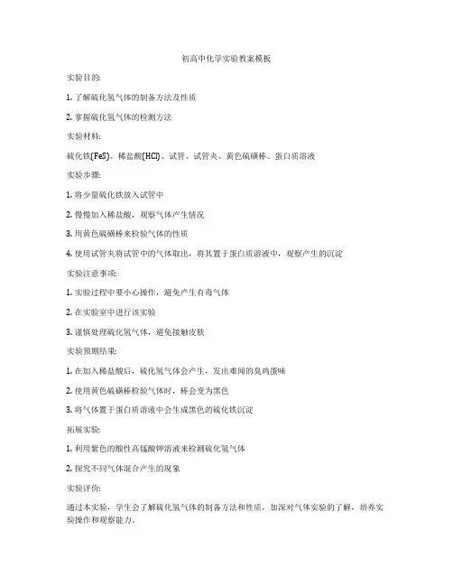初高中化学实验教案模板