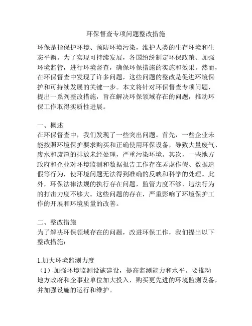 环保督查专项问题整改措施