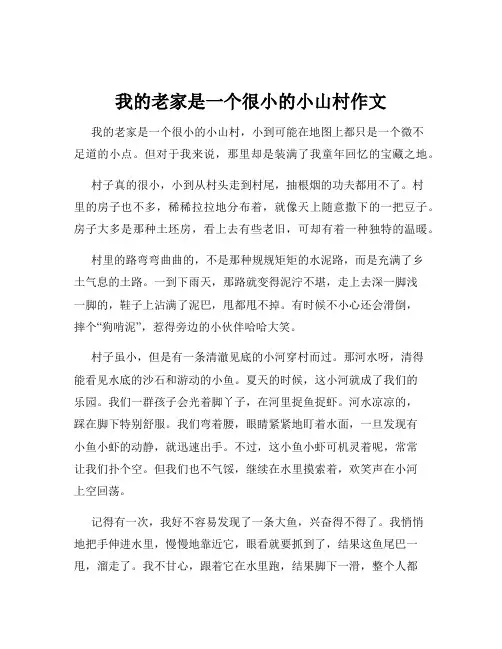 我的老家是一个很小的小山村作文