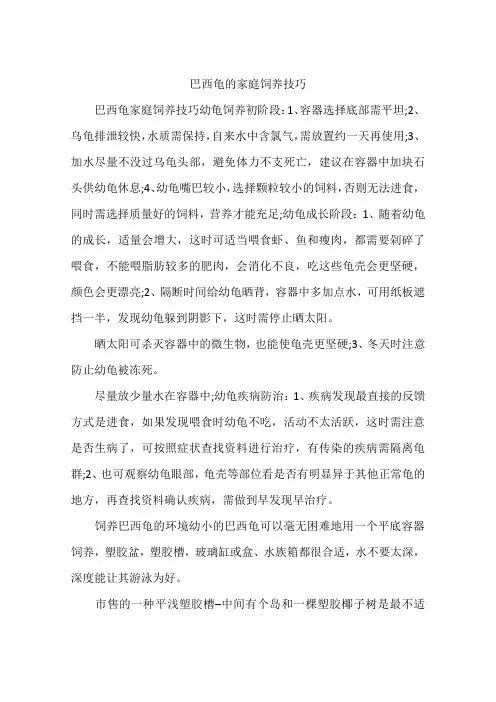巴西龟的家庭饲养技巧