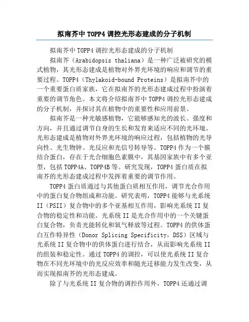 拟南芥中TOPP4调控光形态建成的分子机制