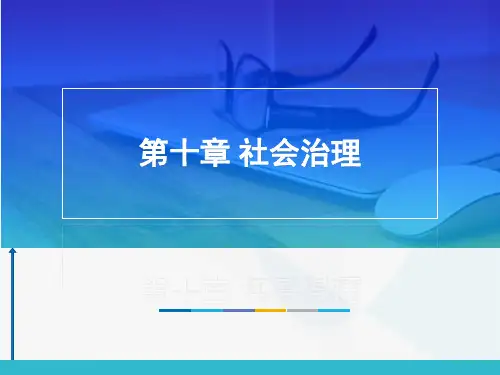 当代中国政府与政治课件第十章社会治理
